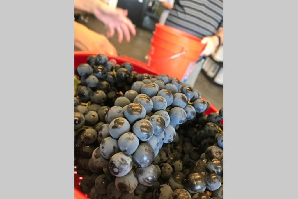 Cabernet Cottage 卡顿伍德 外观 照片